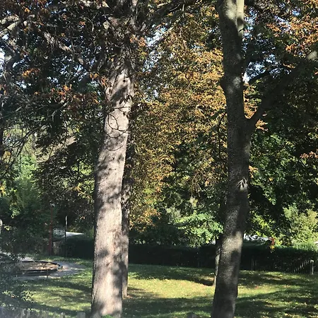 Domizil Eutschuetzgruen